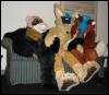 [WhiteWolf FWA2007 3suits8]