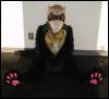 [WhiteWolf FWA2007 riddlesuit3]