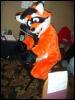 [Convoy FWA2008 011]