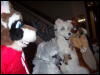 [Convoy FWA2008 017]