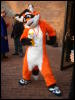 [Convoy FWA2008 030]