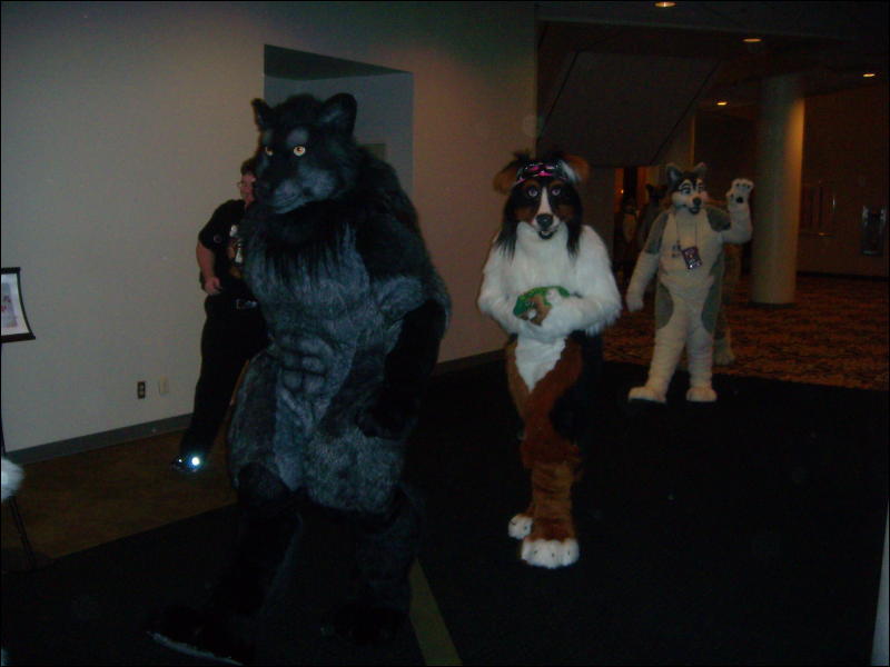 [Convoy_FWA2008_069.jpg]