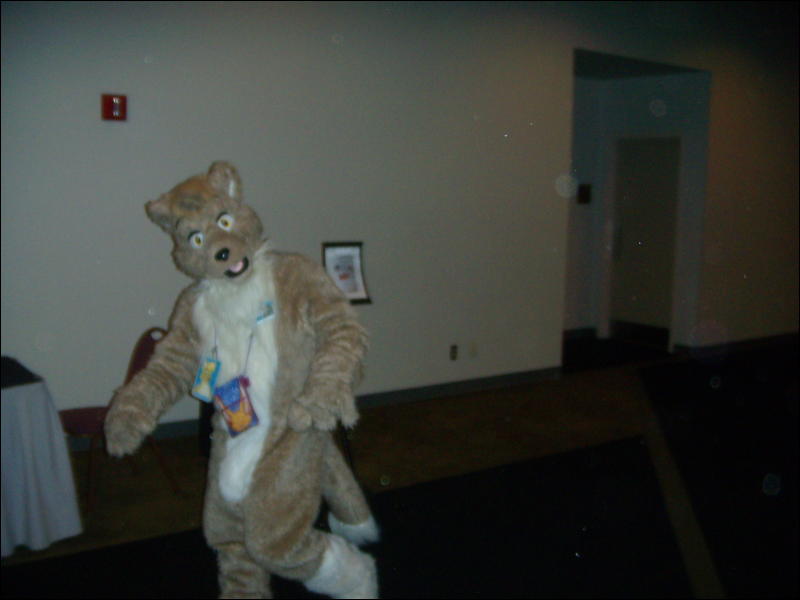 [Convoy_FWA2008_070.jpg]