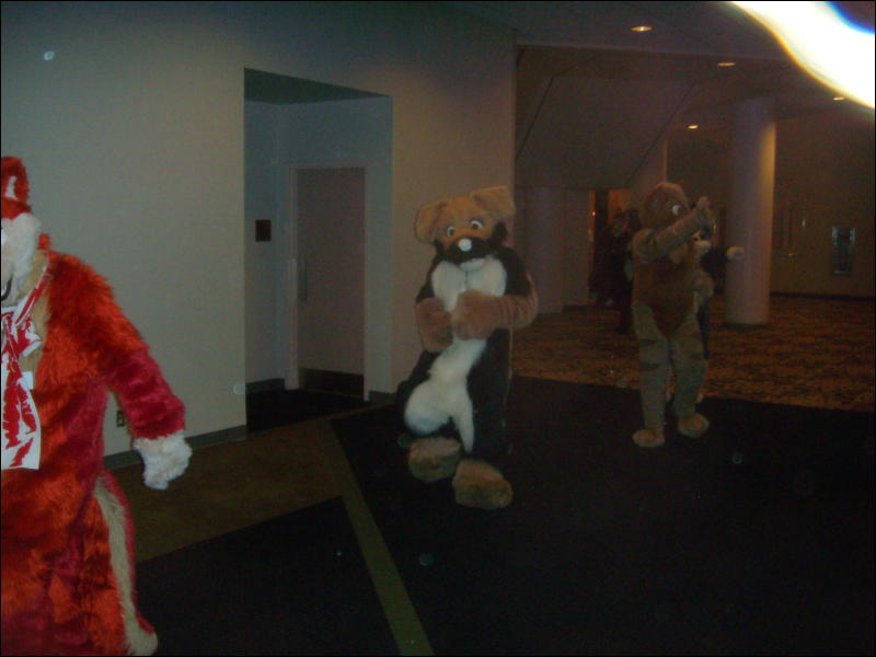 [Convoy_FWA2008_072.jpg]