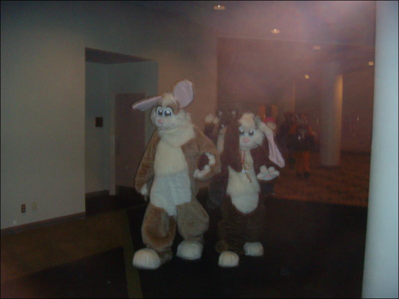 [Convoy_FWA2008_075.jpg]