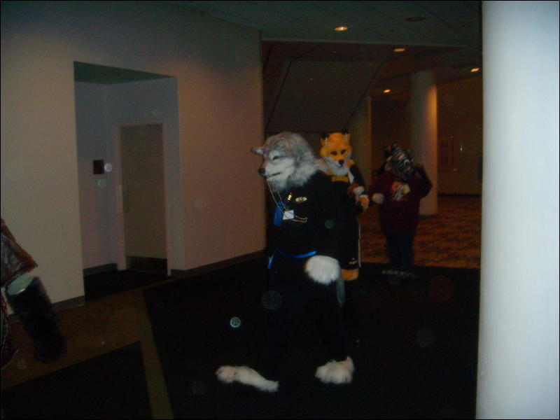 [Convoy_FWA2008_078.jpg]