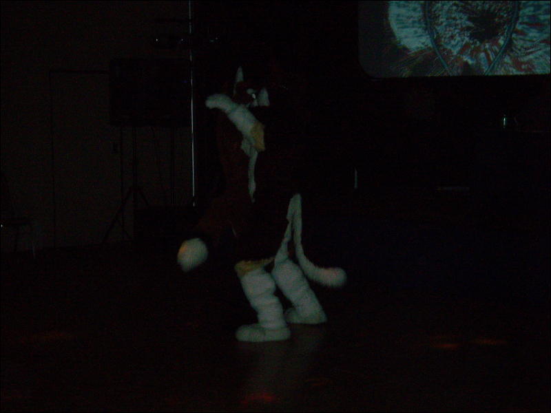 [Convoy_FWA2008_079.jpg]