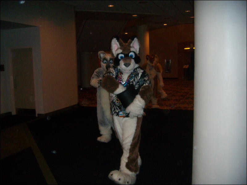 [Convoy_FWA2008_081.jpg]