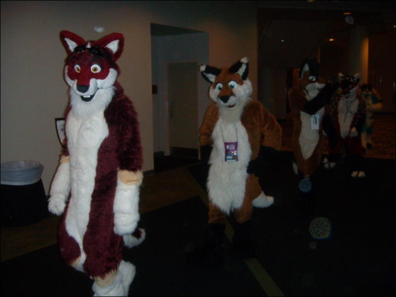 [Convoy_FWA2008_083.jpg]