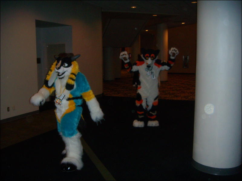 [Convoy_FWA2008_084.jpg]