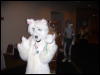 [Convoy FWA2008 085]