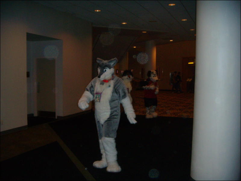 [Convoy_FWA2008_087.jpg]