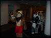 [Convoy FWA2008 088]