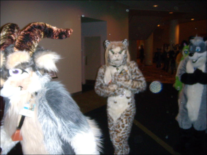 [Convoy_FWA2008_089.jpg]