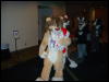 [Convoy FWA2008 090]