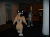 [Convoy FWA2008 091]