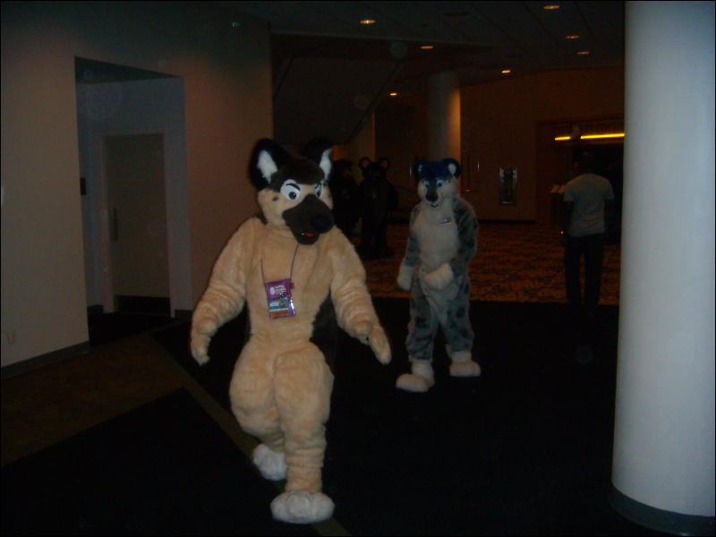 [Convoy_FWA2008_091.jpg]