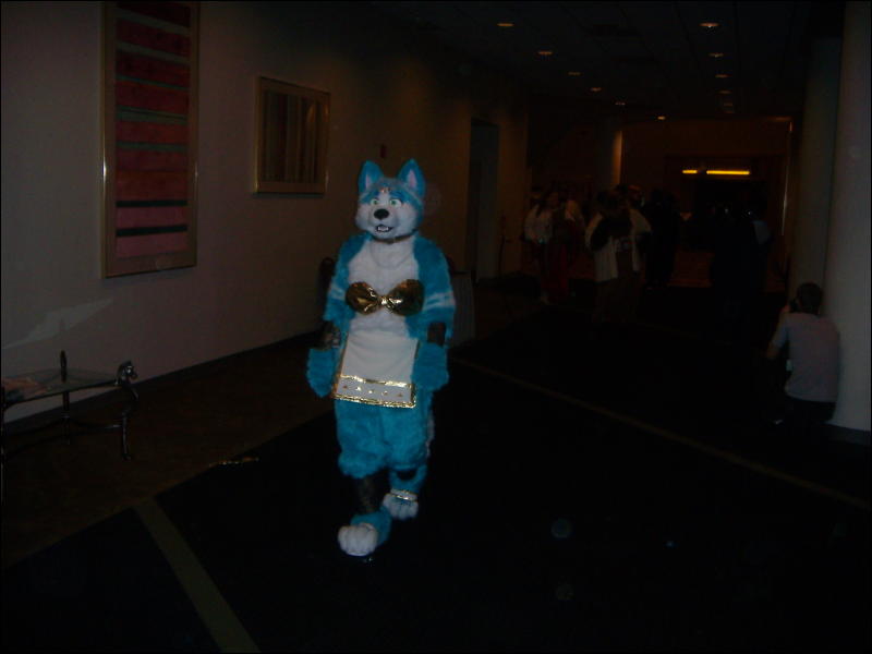 [Convoy_FWA2008_097.jpg]