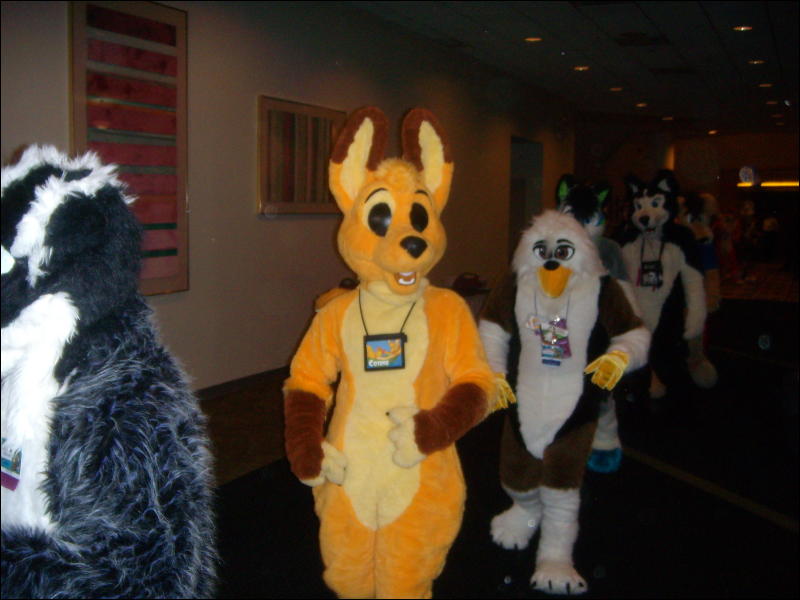 [Convoy_FWA2008_099.jpg]