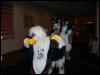 [Convoy FWA2008 100]