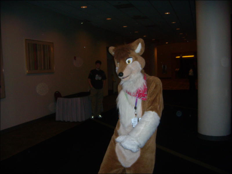 [Convoy_FWA2008_105.jpg]