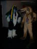 [Convoy FWA2008 114]