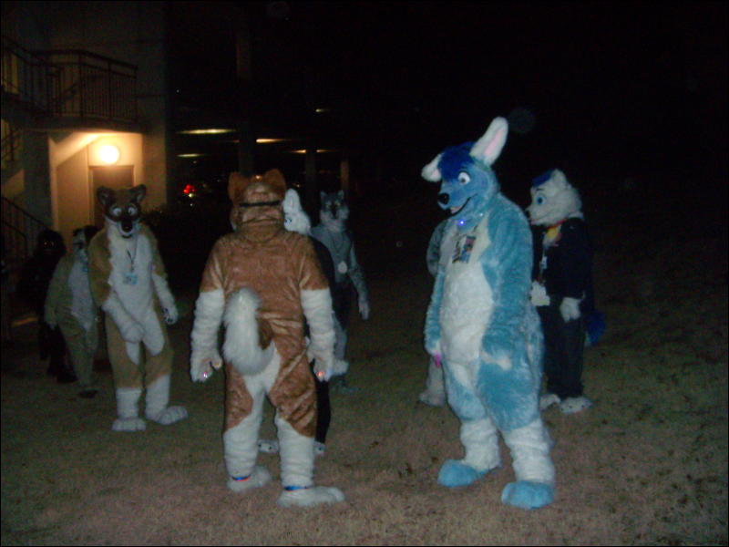 [Convoy_FWA2008_121.jpg]