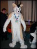 [Convoy FWA2008 124]