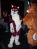 [Convoy FWA2008 126]