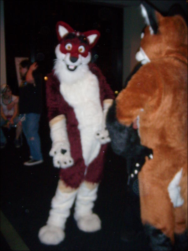 [Convoy_FWA2008_126.jpg]