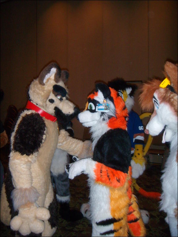 [Convoy_FWA2008_131.jpg]