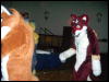 [Convoy FWA2008 141]