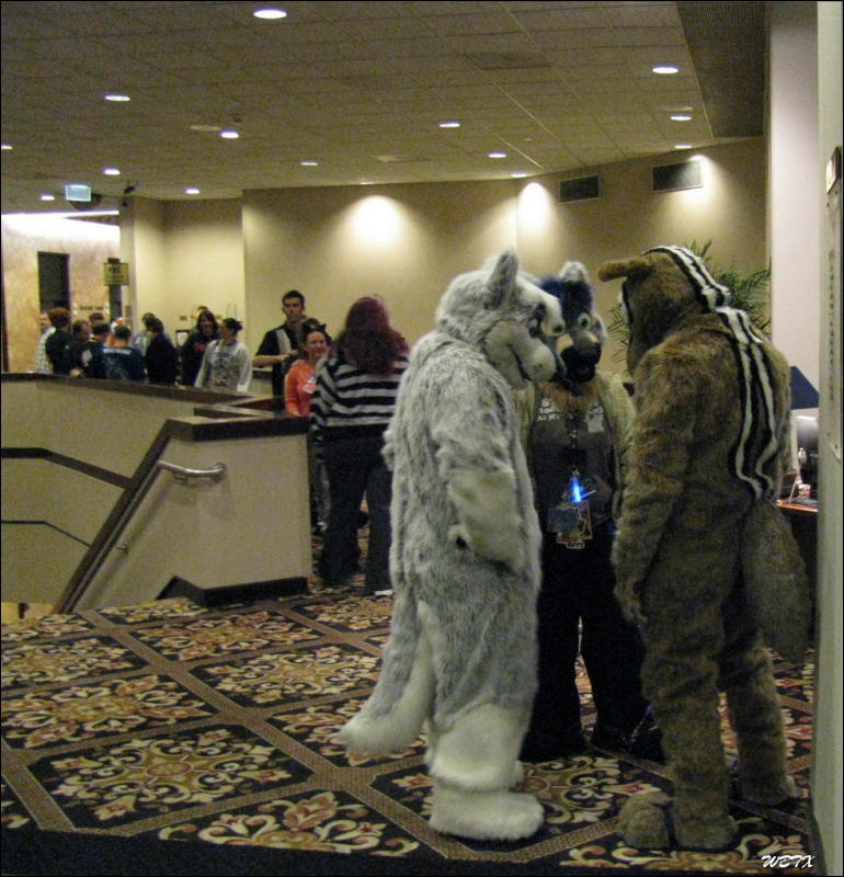 [WildBillTX_FWA2008_009.jpg]