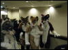 [WildBillTX FWA2008 017]