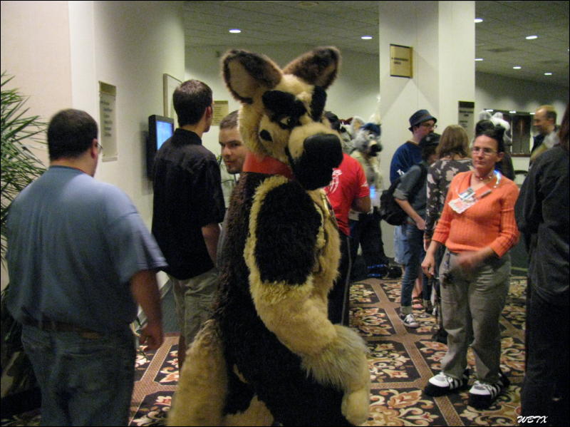 [WildBillTX_FWA2008_019.jpg]