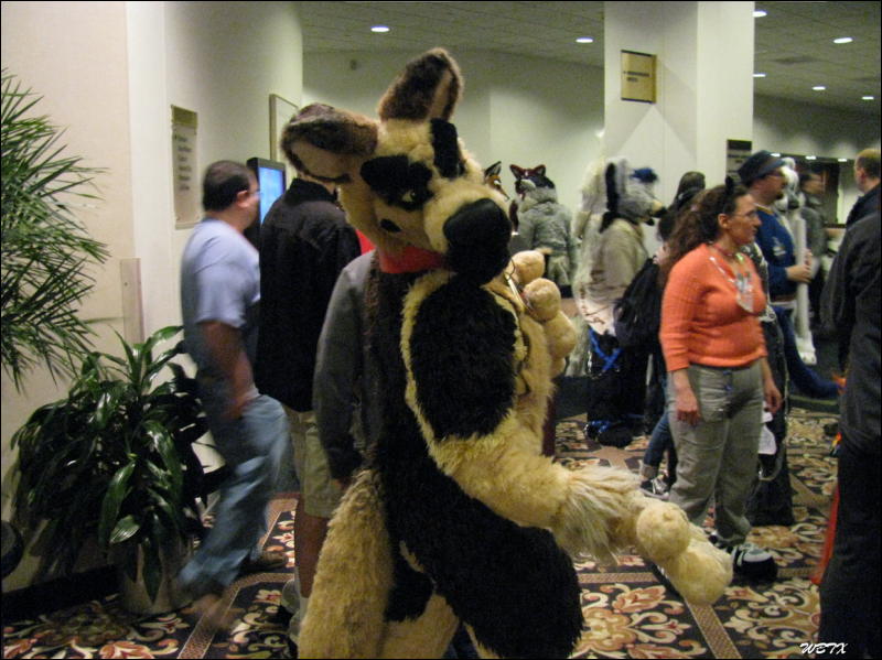 [WildBillTX_FWA2008_020.jpg]