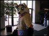 [WildBillTX FWA2008 054]