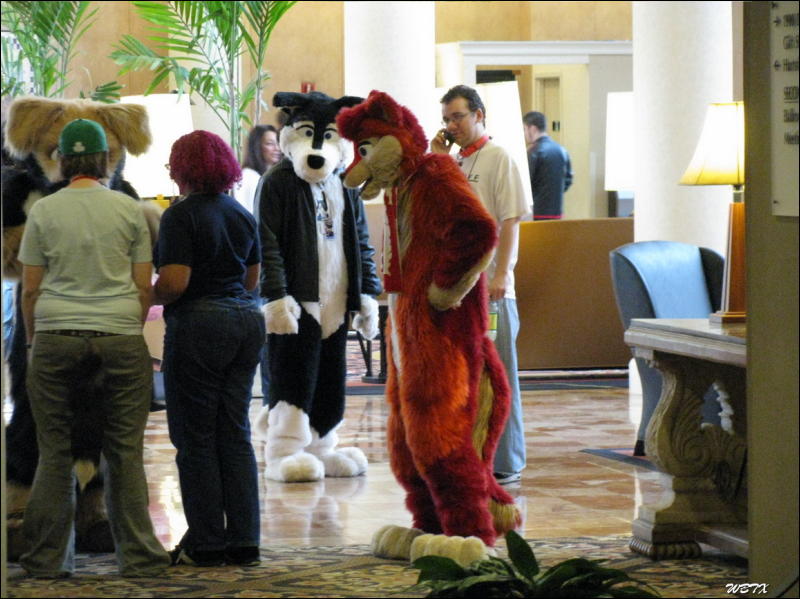 [WildBillTX_FWA2008_082.jpg]