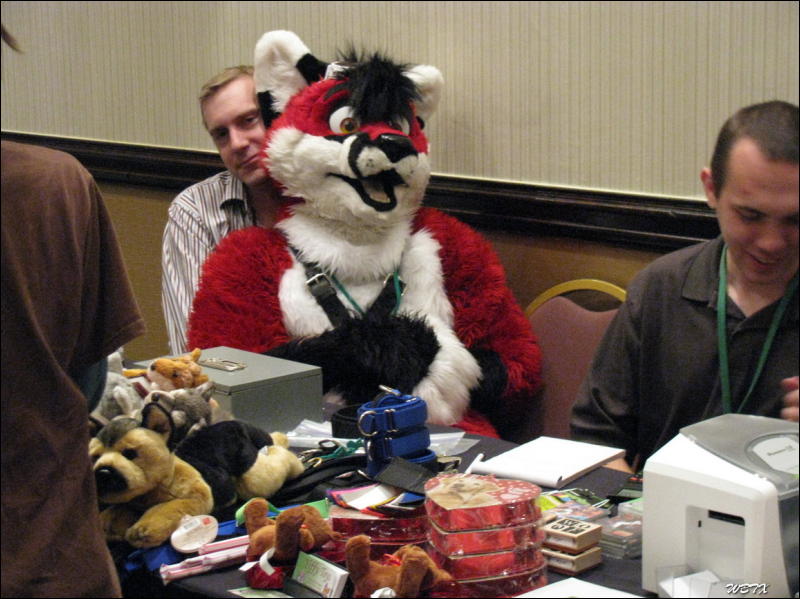 [WildBillTX_FWA2008_087.jpg]