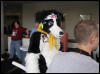 [WildBillTX FWA2008 109]