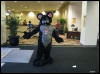 [WildBillTX FWA2008 135]