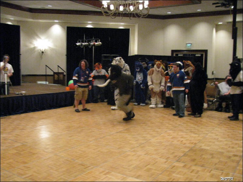 [WildBillTX_FWA2008_156.jpg]