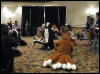 [WildBillTX FWA2008 164]