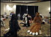 [WildBillTX FWA2008 165]