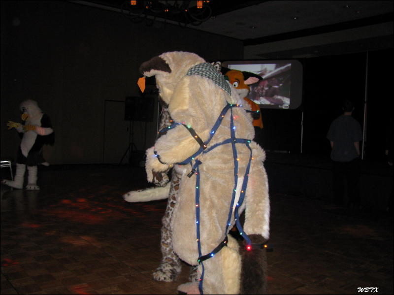 [WildBillTX_FWA2008_169.jpg]