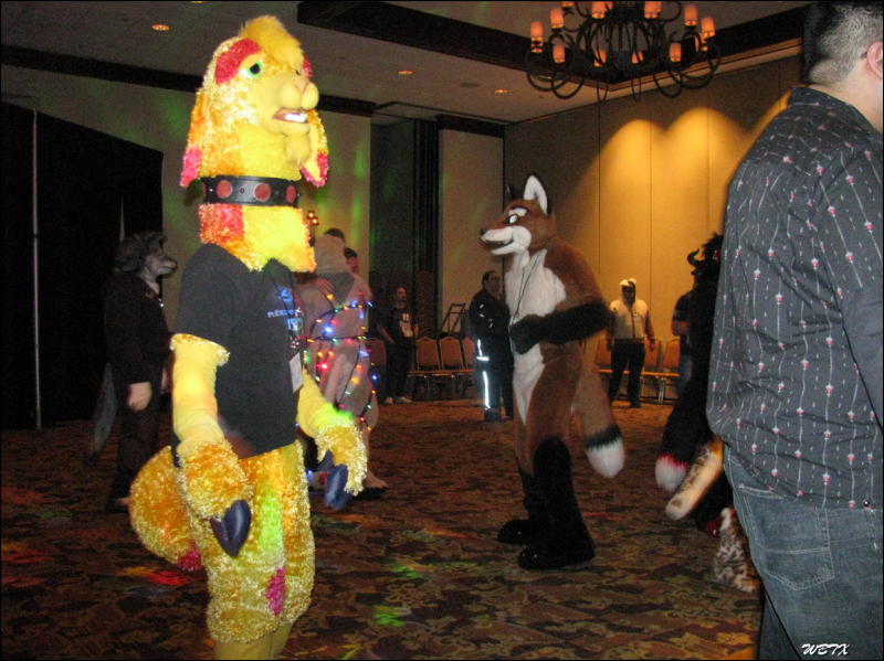 [WildBillTX_FWA2008_176.jpg]