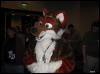 [WildBillTX FWA2008 181]