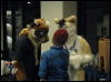 [WildBillTX FWA2008 189]