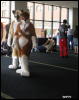 [WildBillTX FWA2008 210]