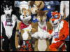 [WildBillTX FWA2008 243]